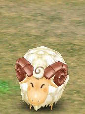 Lamb - Welly